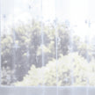 Sheer white curtain with star pattern in front of a blurred outdoor view